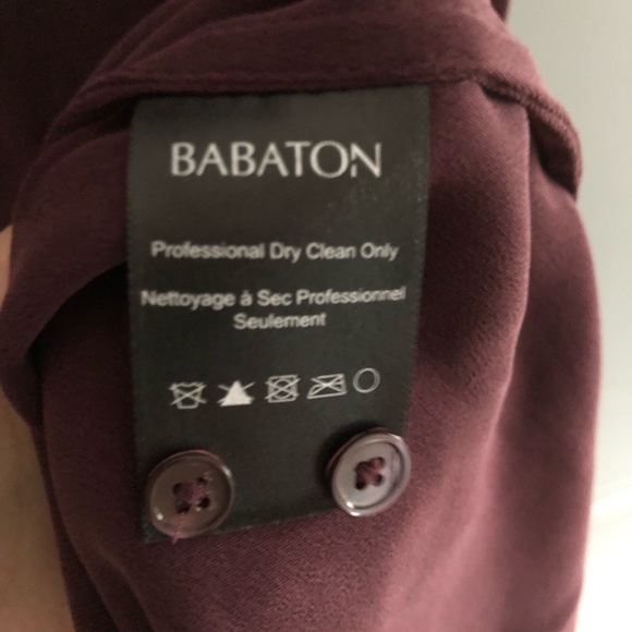 Aritzia Babaton Silk Peverell Tunic Dress - Picture 8 of 8